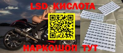 стаф Кимры