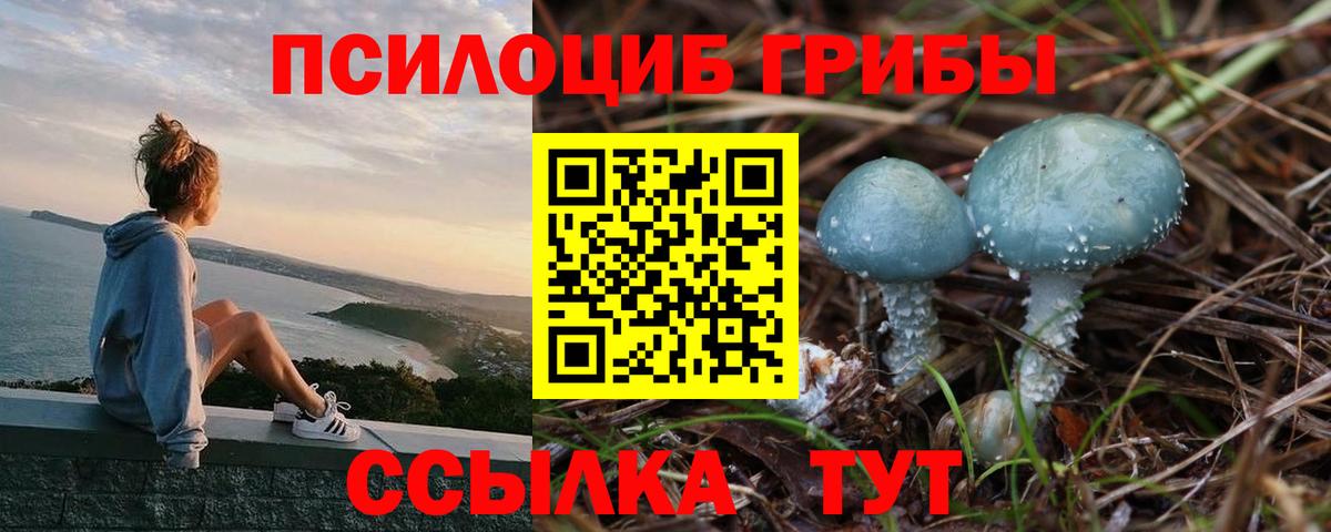 Галлюциногенные грибы Psilocybe  как найти закладки  Комсомольск-на-Амуре  Вход с VPN  Псилоцибиновые грибы Cubensis 